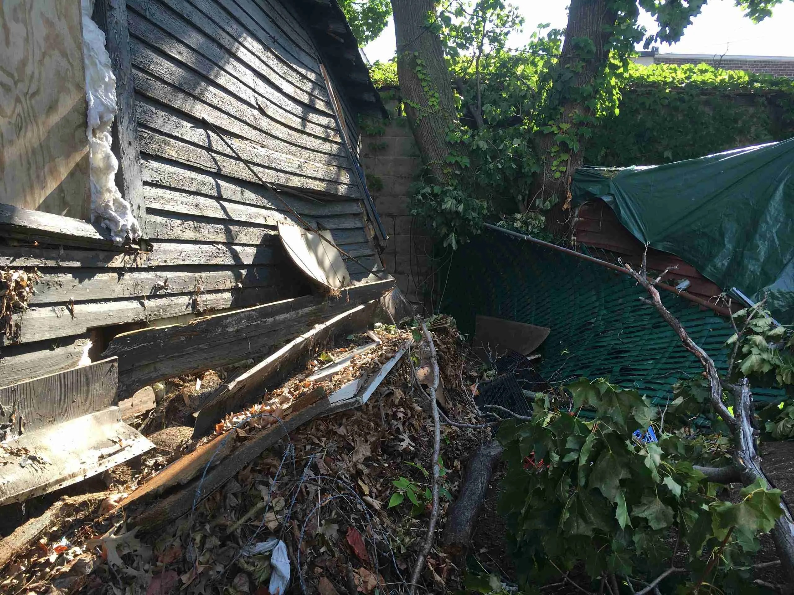Storm Damage Clean Up