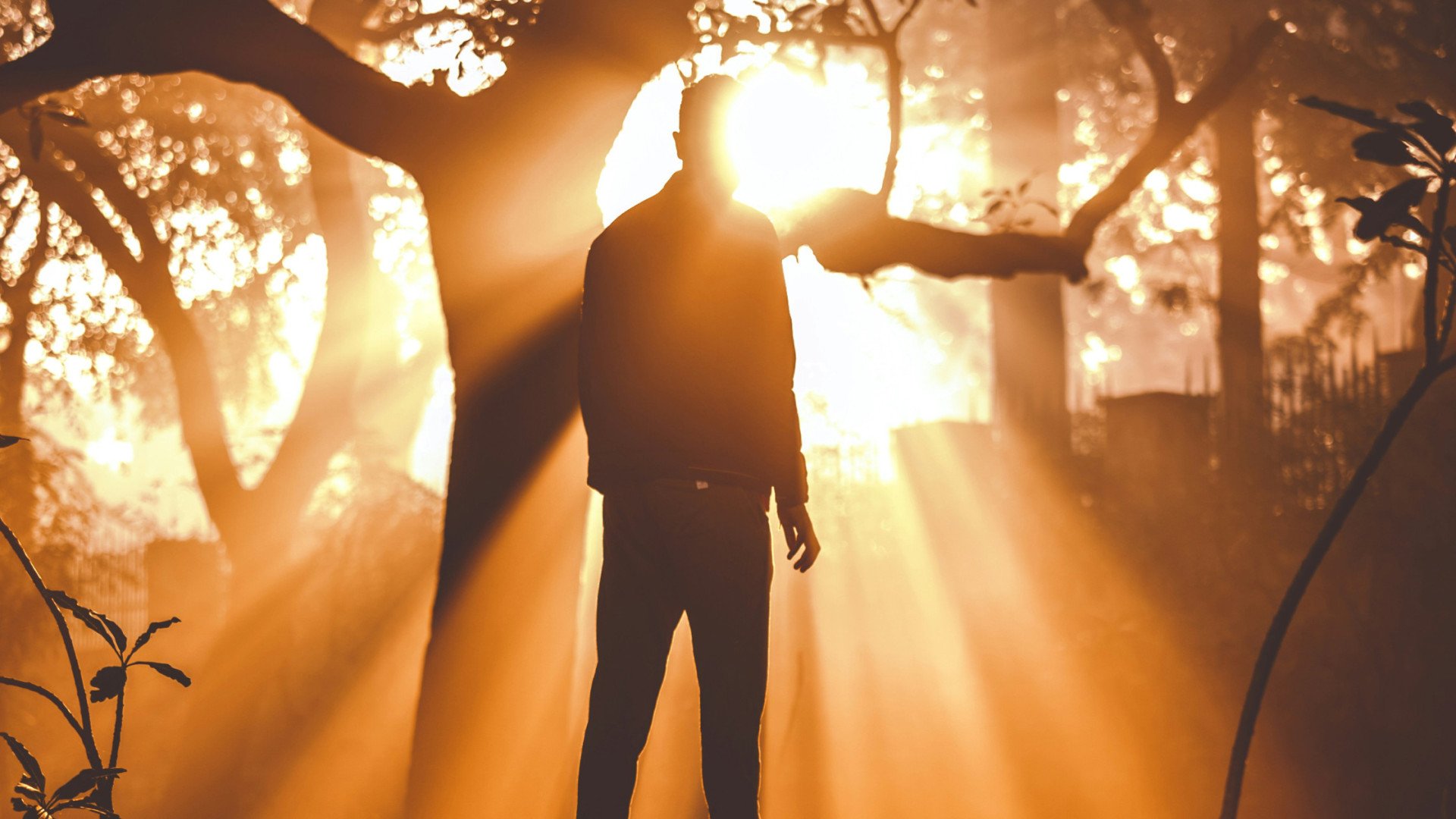 The Radiant Light