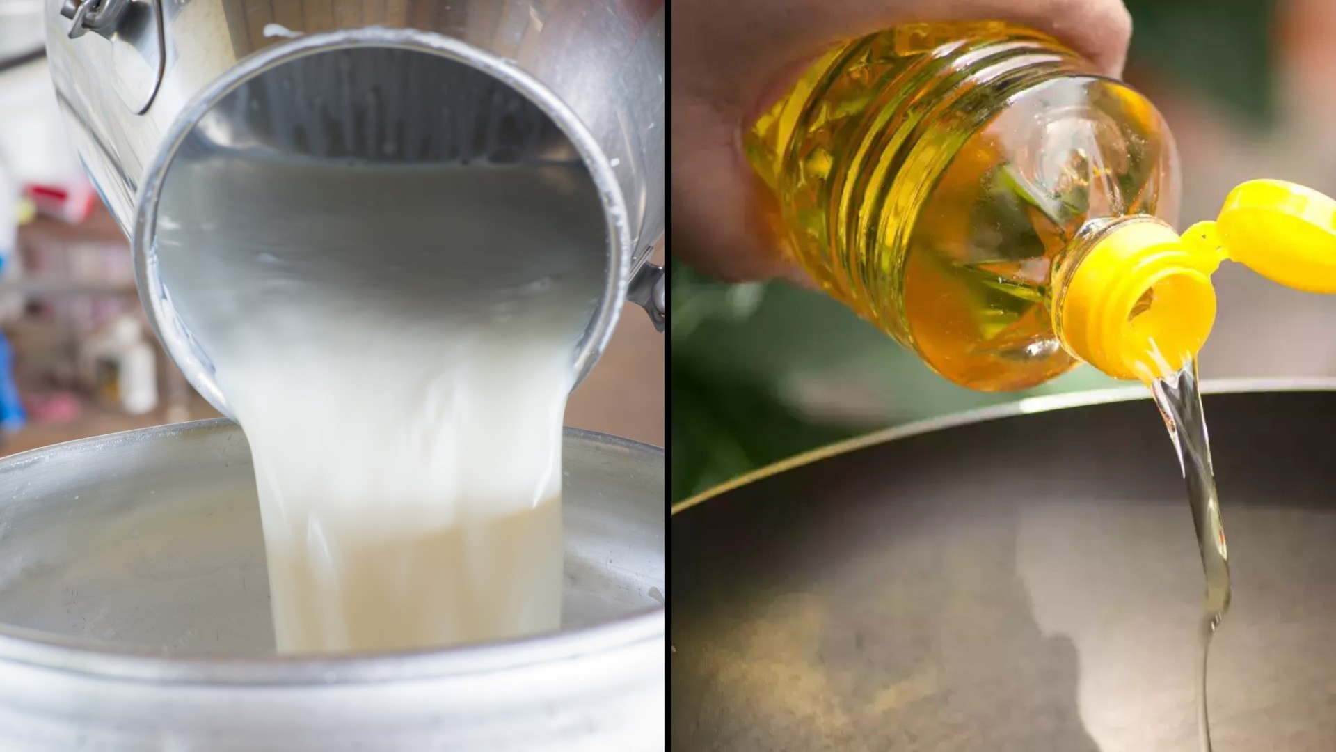 Raw Spiritual Milk for Seed Oil Christians