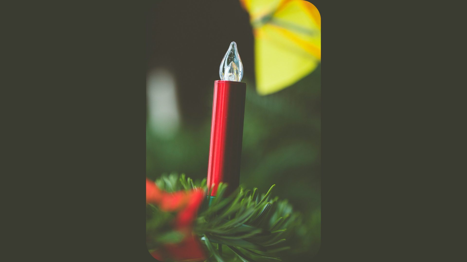 Contra Plastic Candles
