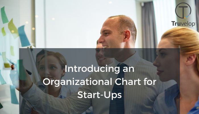 Organizational Structure In Start Ups - Best Colorful Illustrations in Desktop