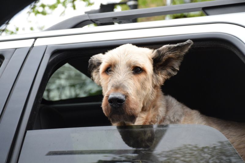 Logging Truveris Github Io - Mountain Background Collection - Desktop Quality