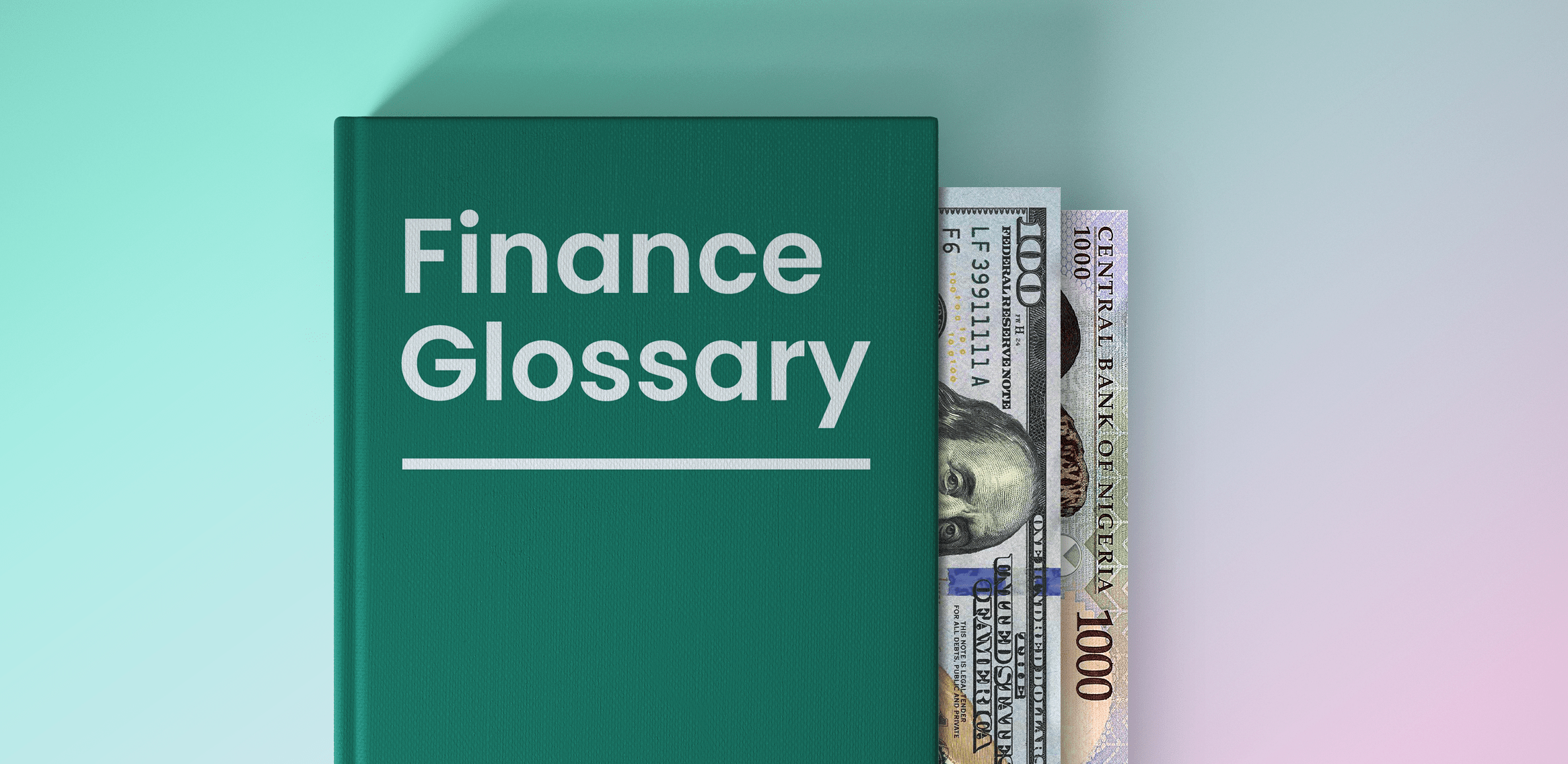 Duplo finance glossary header image