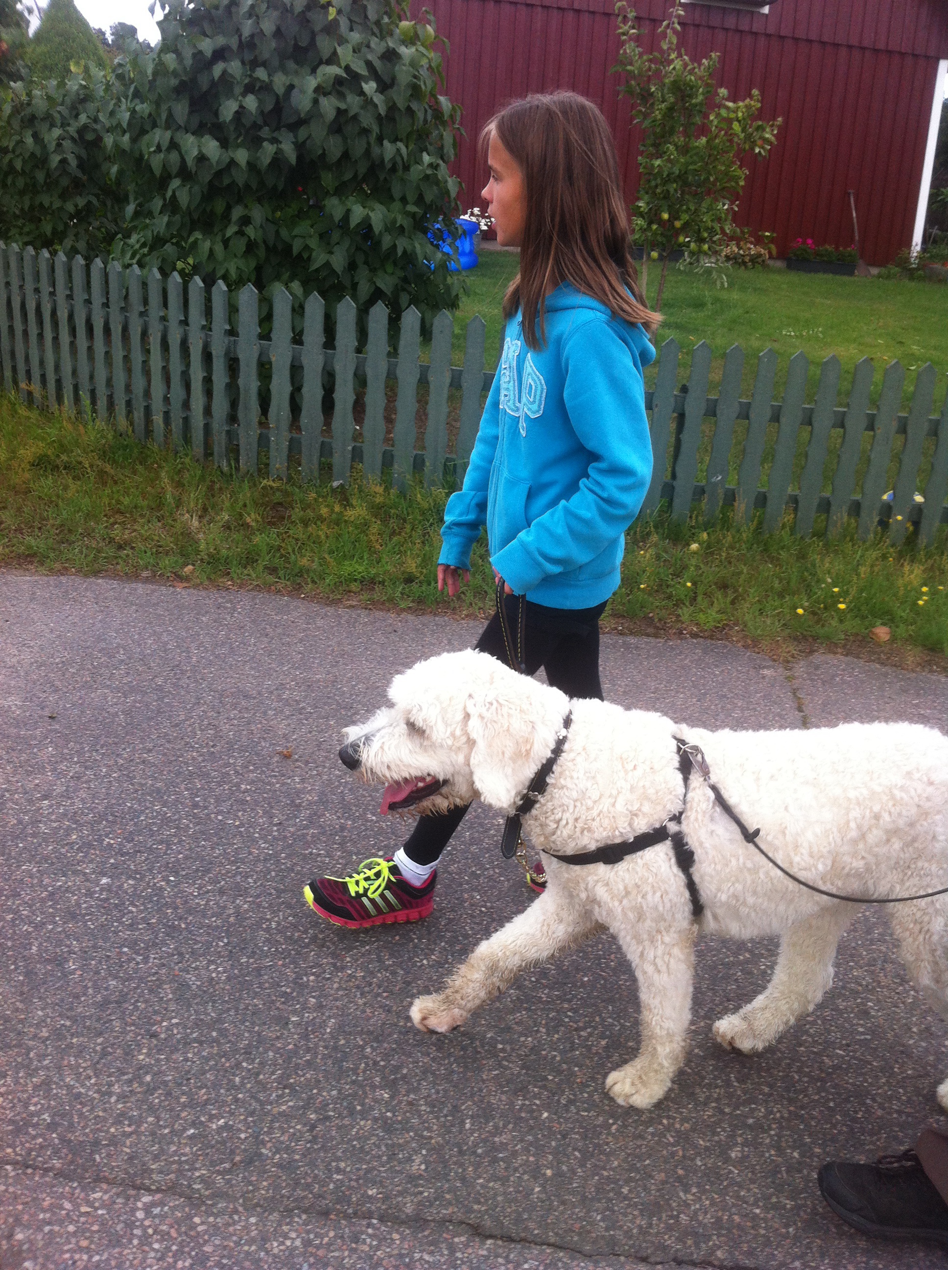 Tilde och Charlie. Nice!!!