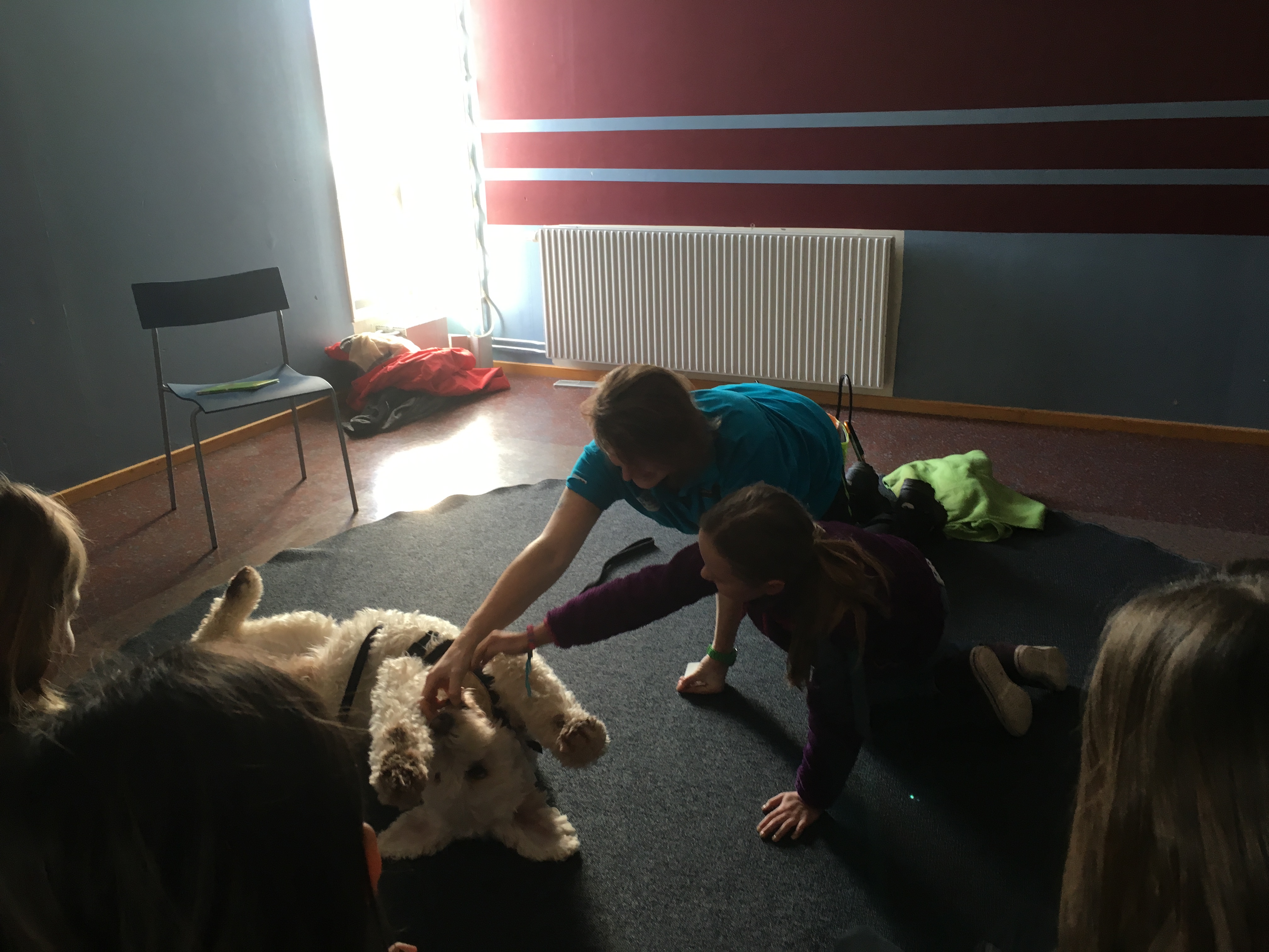 Här får vi hjälp att göra -Rulla!