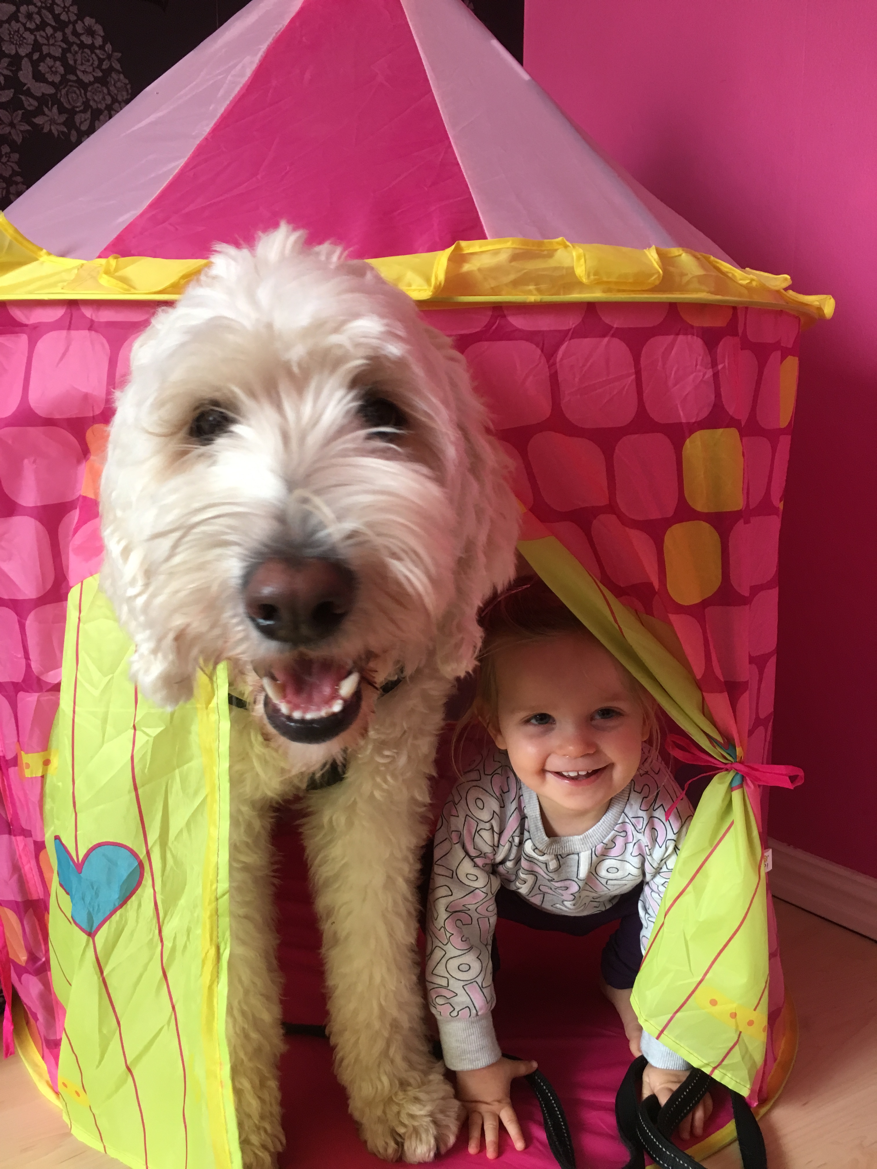 Kung Charlie och prinsessan Milia.