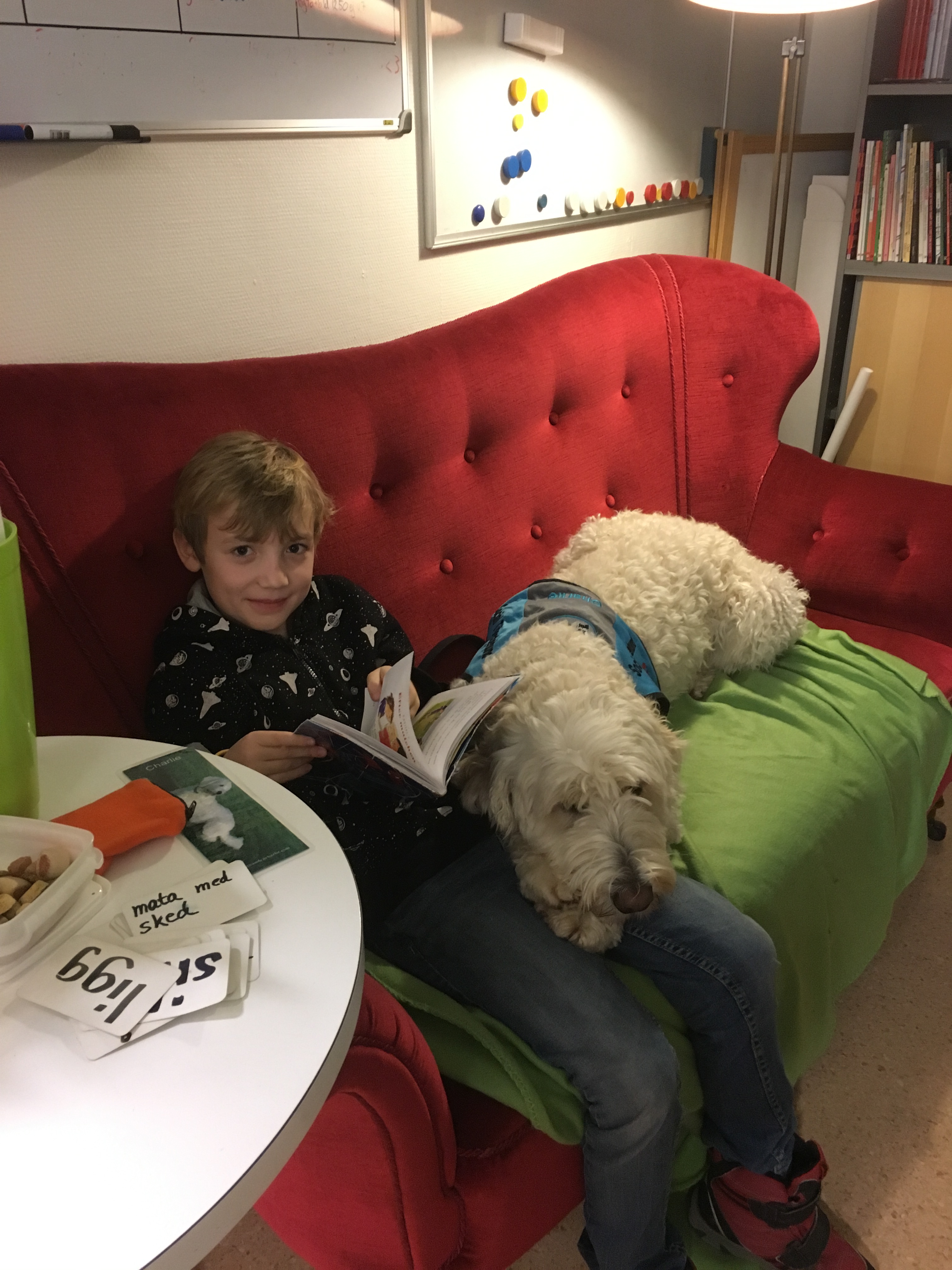 Theodor och Charlie i läsesoffan =)