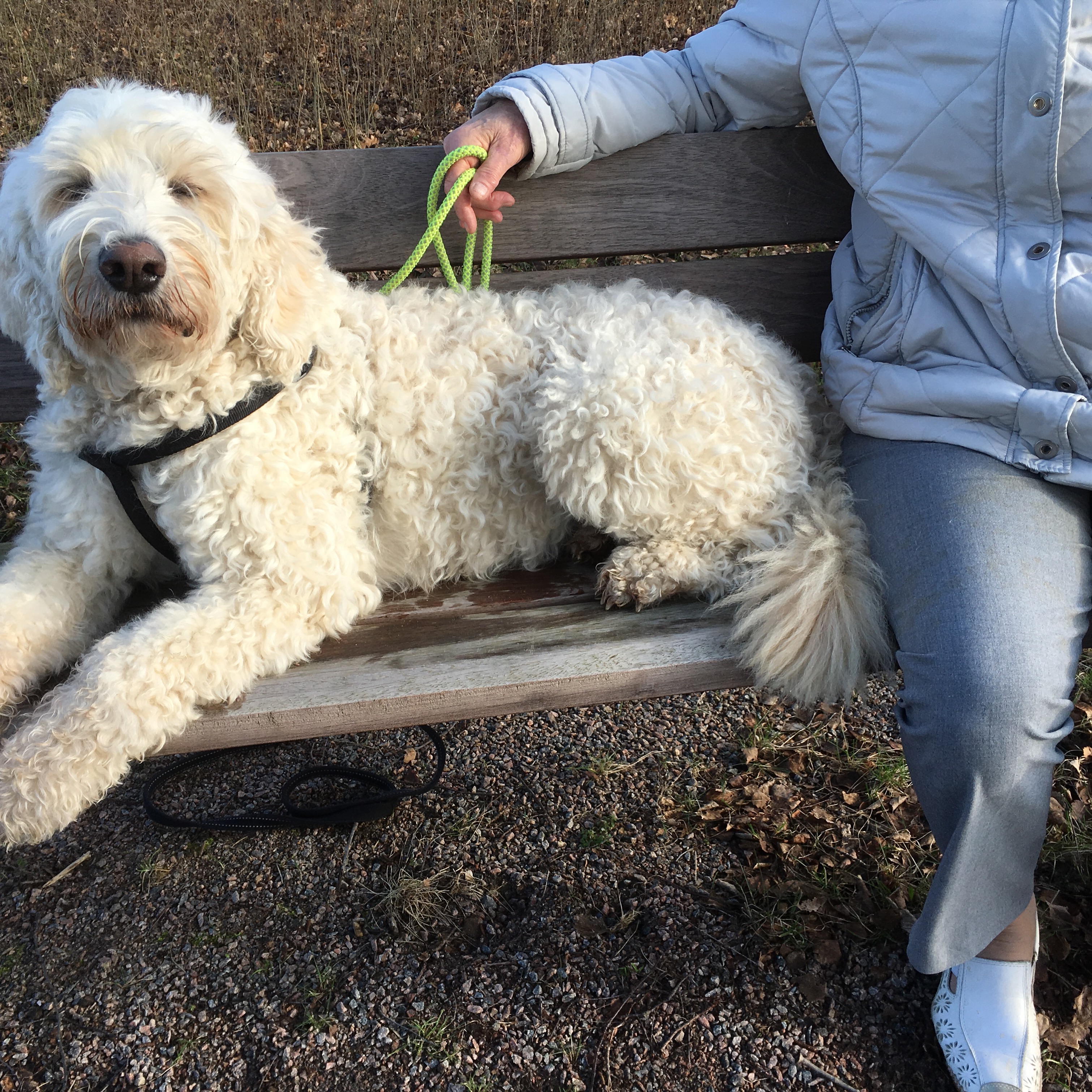 På trevlig morgonpromenad.