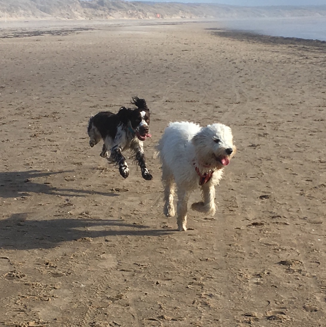 Saga har täten, Hjördis snart i kapp.