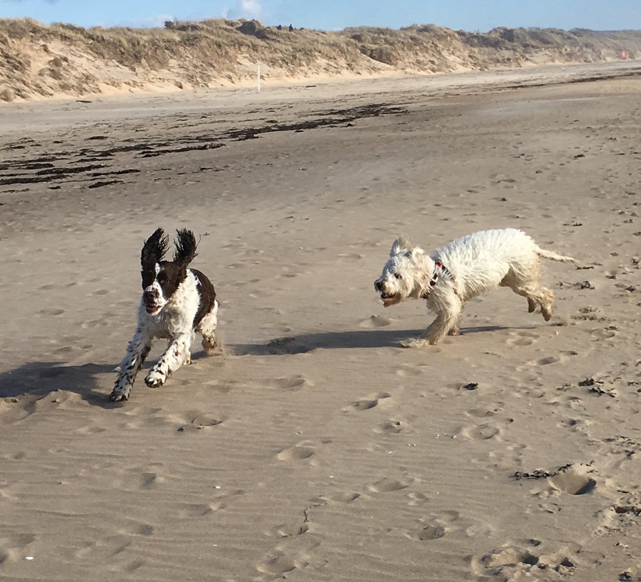 Härligt öronfladder