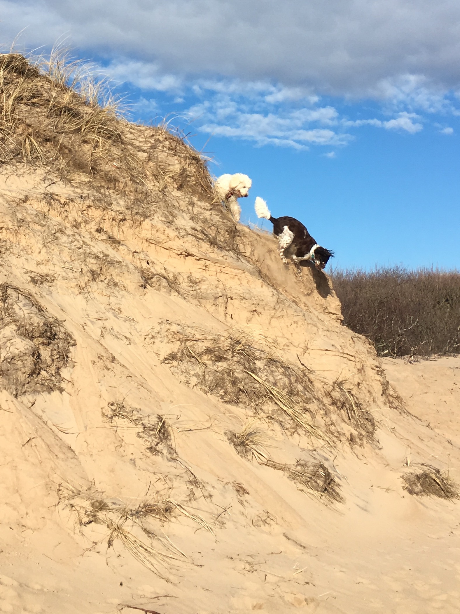 Upp på dynorna och ner i en rasande fart