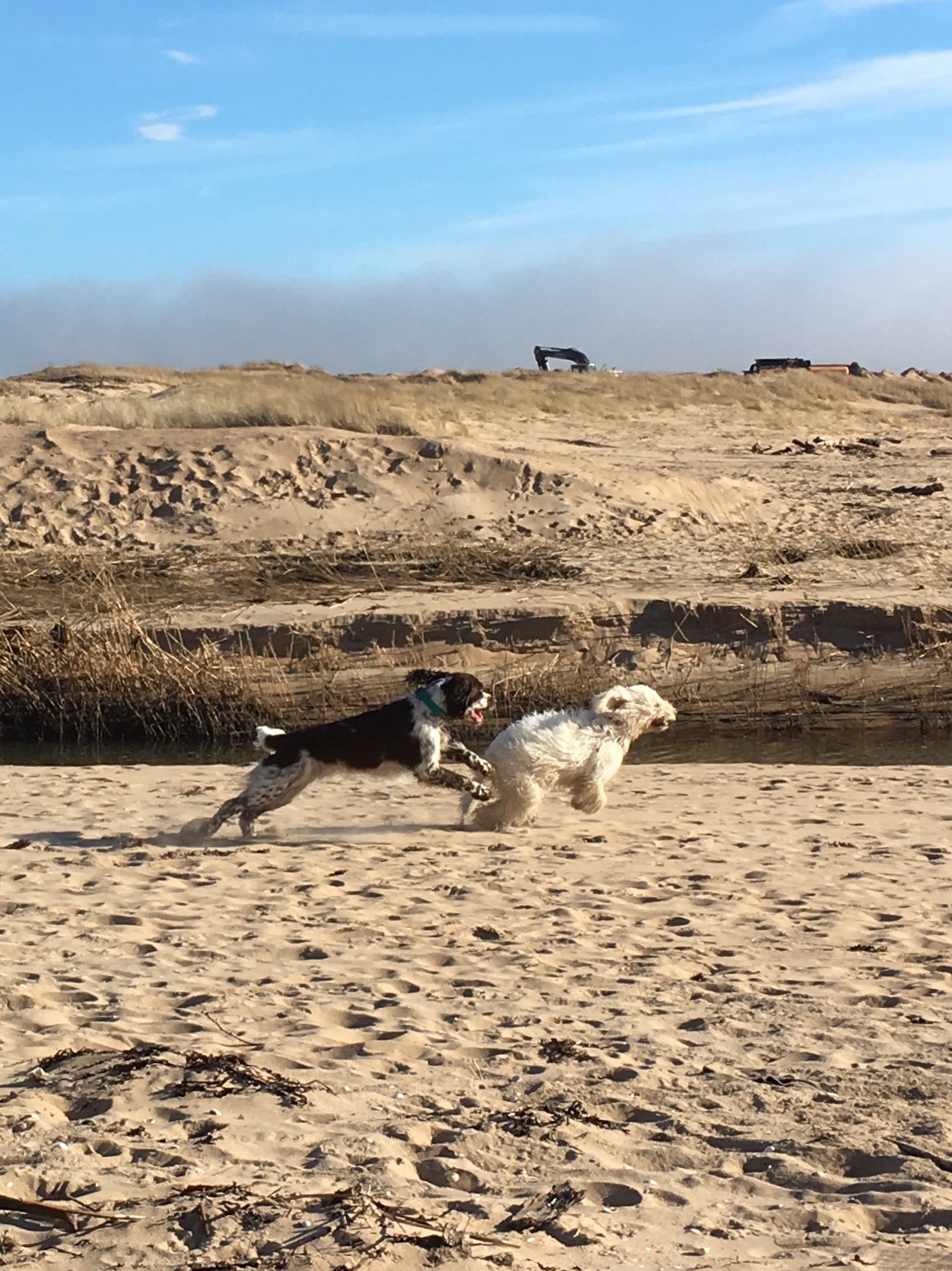 Hej, vad det går....