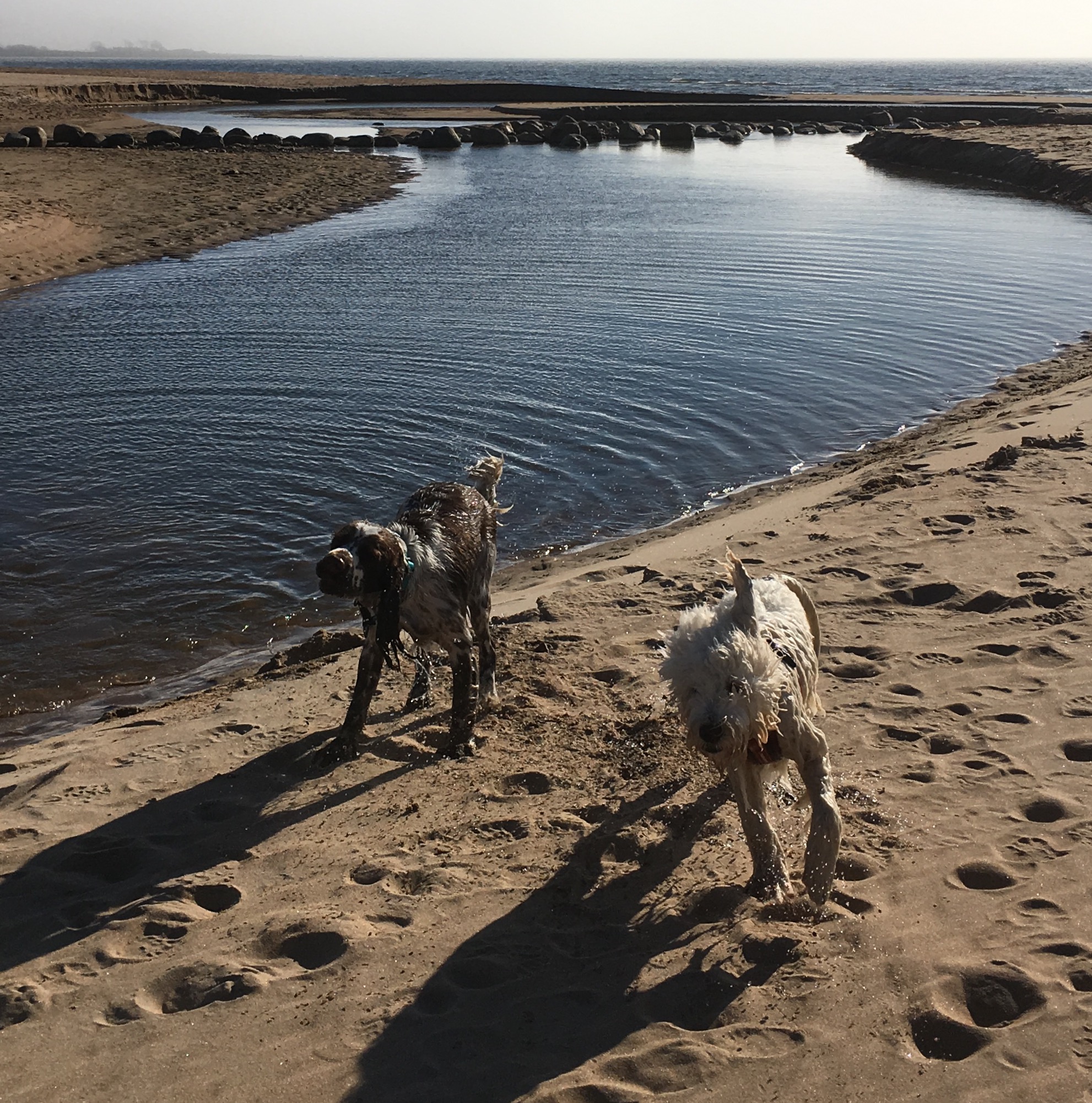 Ur badet, lika glada =)