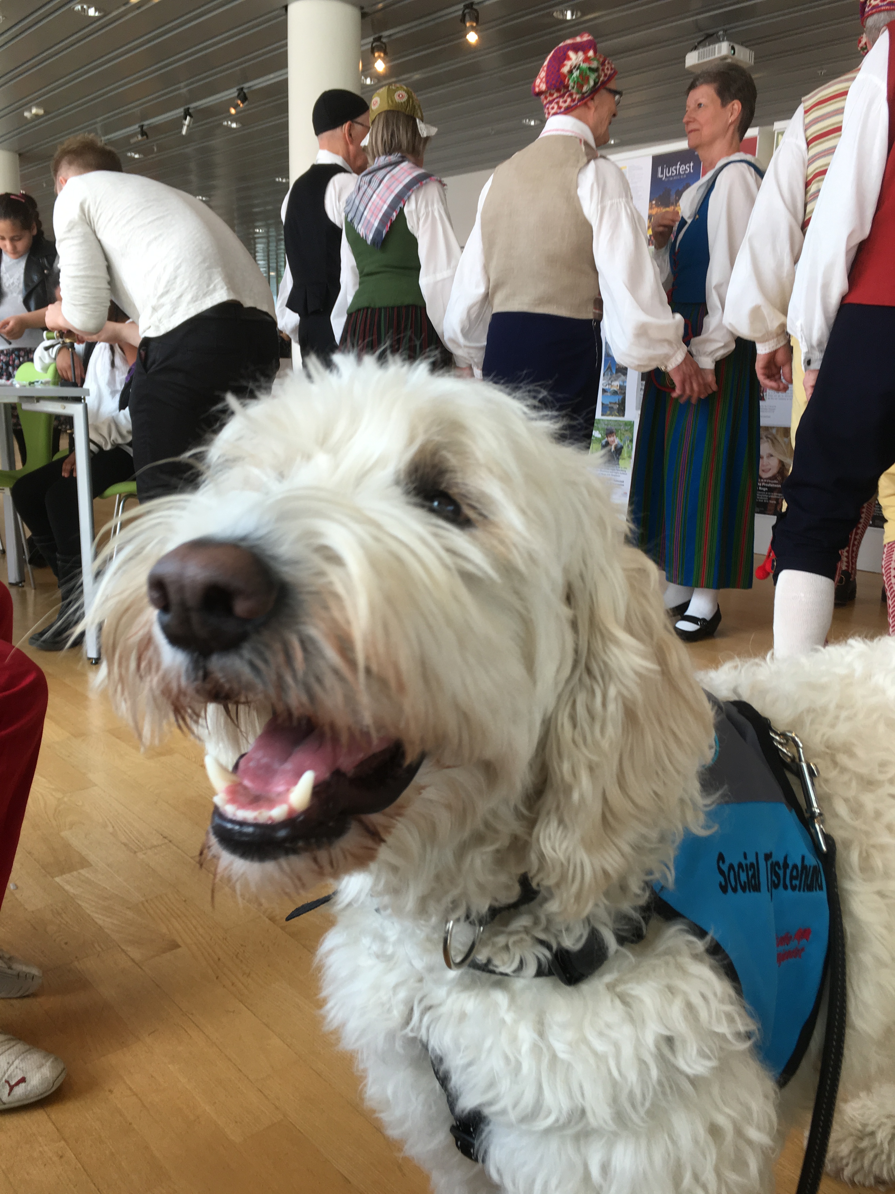 Ett gäng duktiga folkdansare med spelemän hade uppvisning.