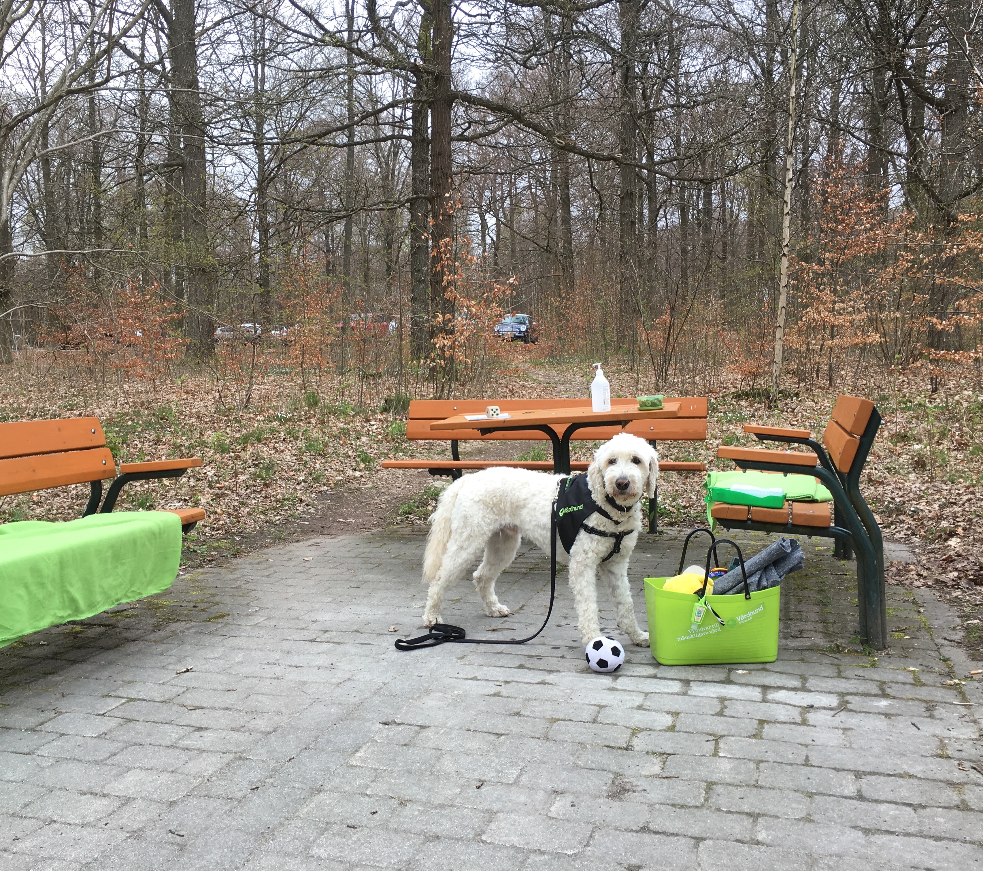 Vi väntar på besökare =)