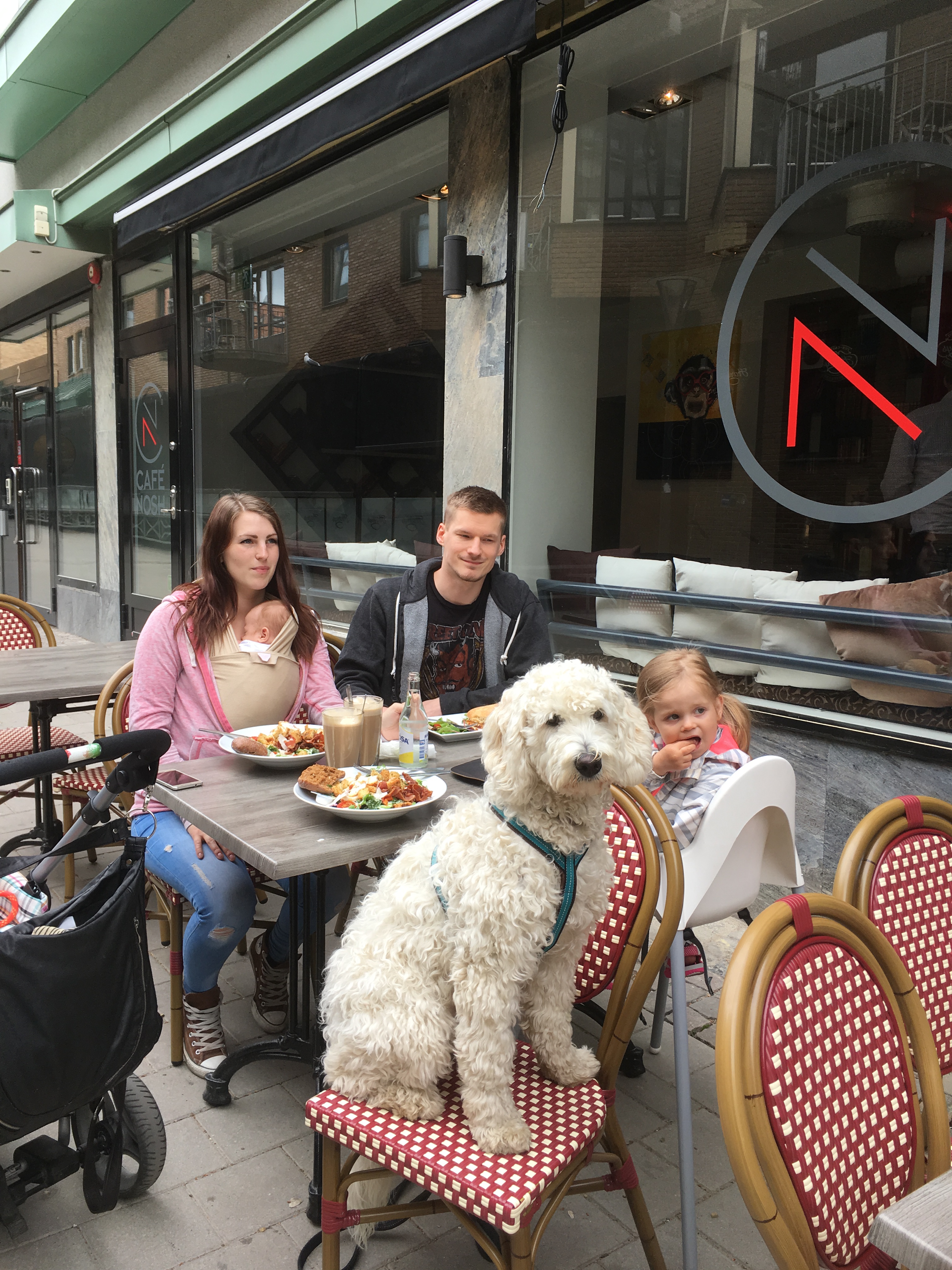 Fika på cafe Noch, hundar välkomna på uteserveringen =)