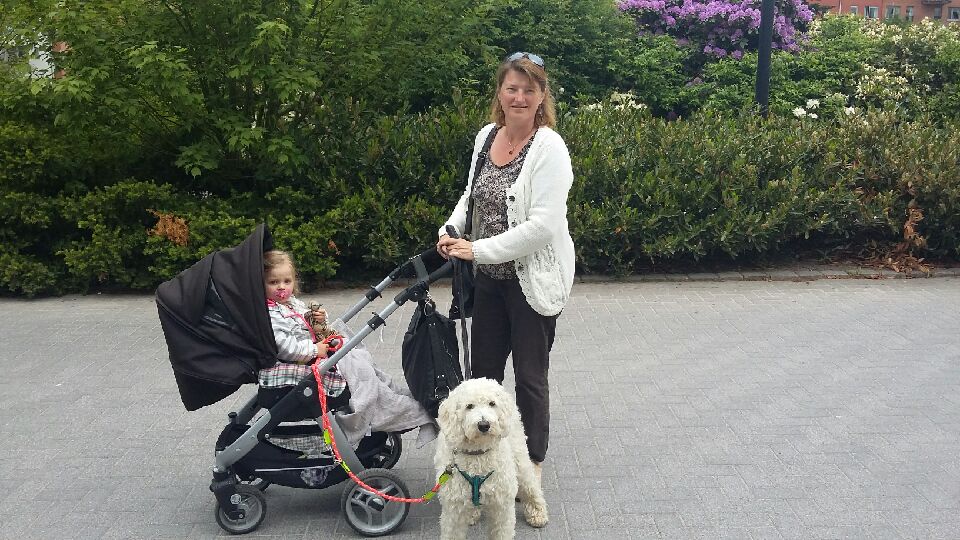 Milia håller Saga i dubbelkoppel. Bra träning för Saga som förhoppningsvis kommer jobba som vårdhund i framtiden.