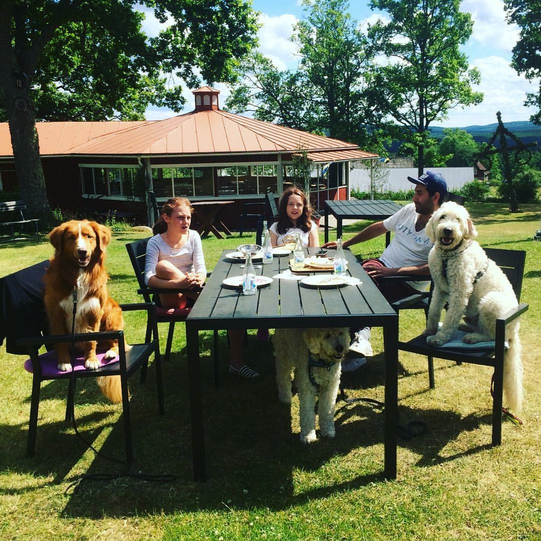 Vill, Fanny, Norah, Ashkan och Charlie vid bordet och lilla Saga under bordet =)