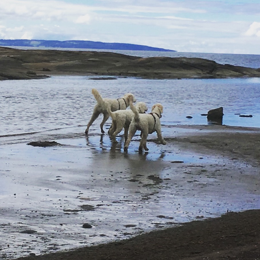 Sötaste rumporna ever =)