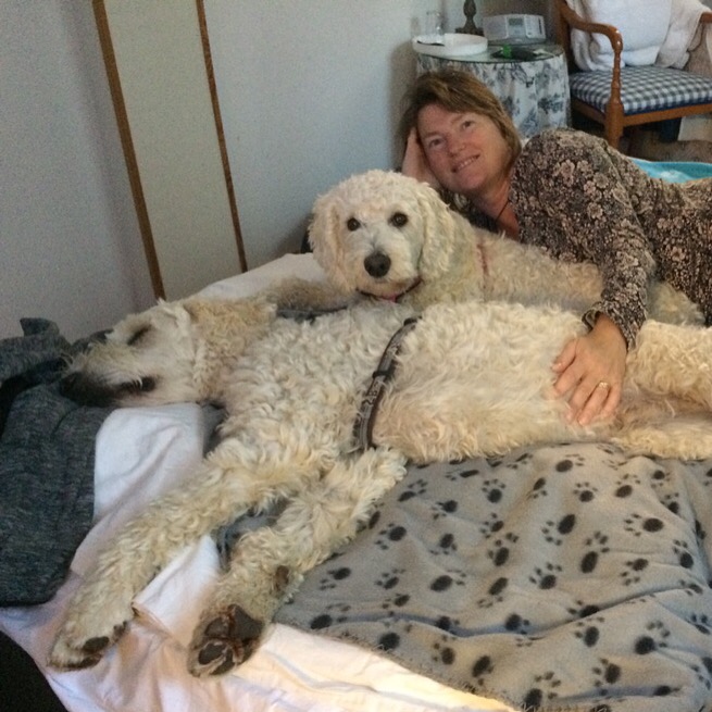 Vi sov gott och hade det riktigt bra på hotel Annogården i Ystad.