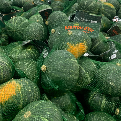 Marron-Dor-Squash-2
