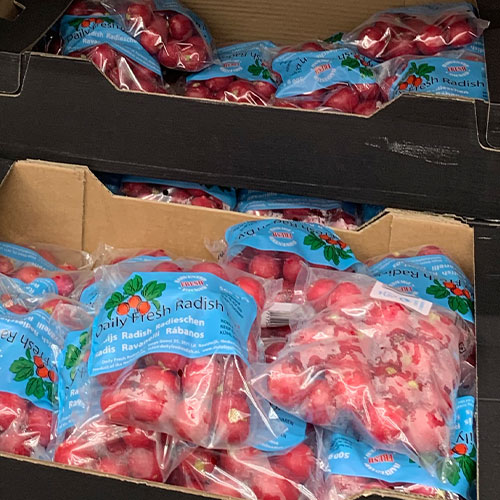 Radish-500g-1