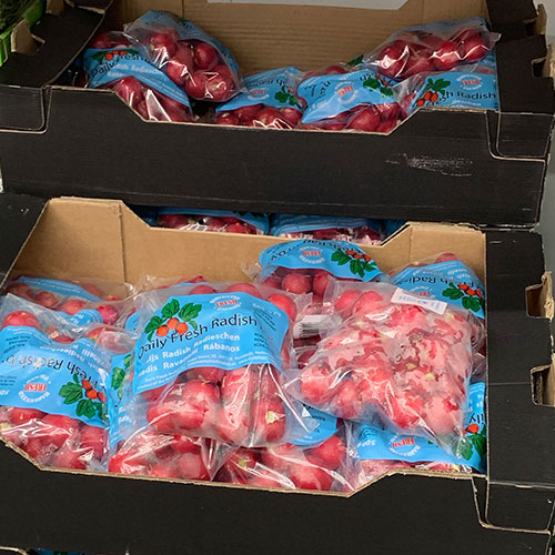 Radish-500g-2
