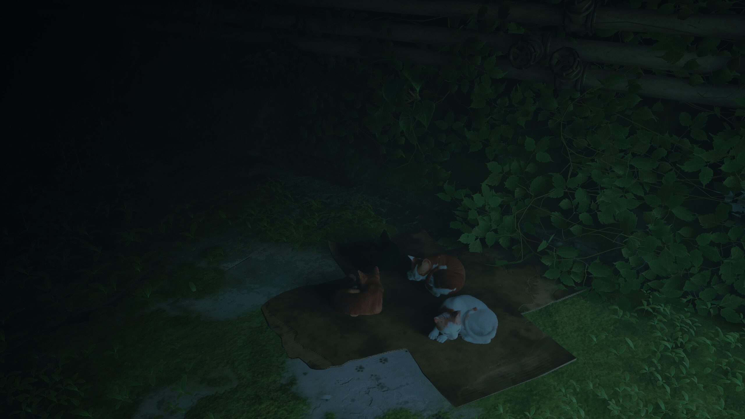 Squad snooze