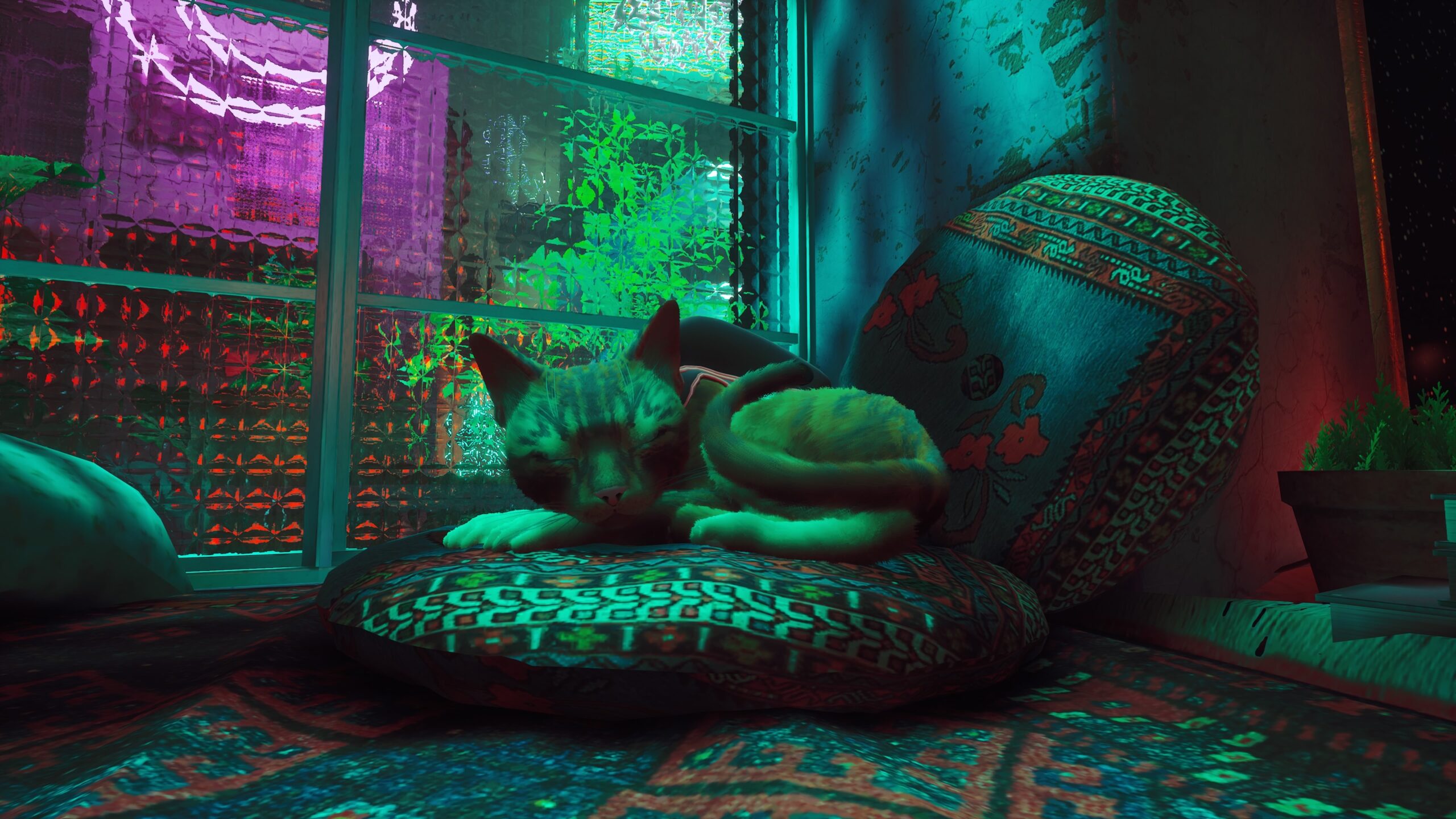 Apartment snooze