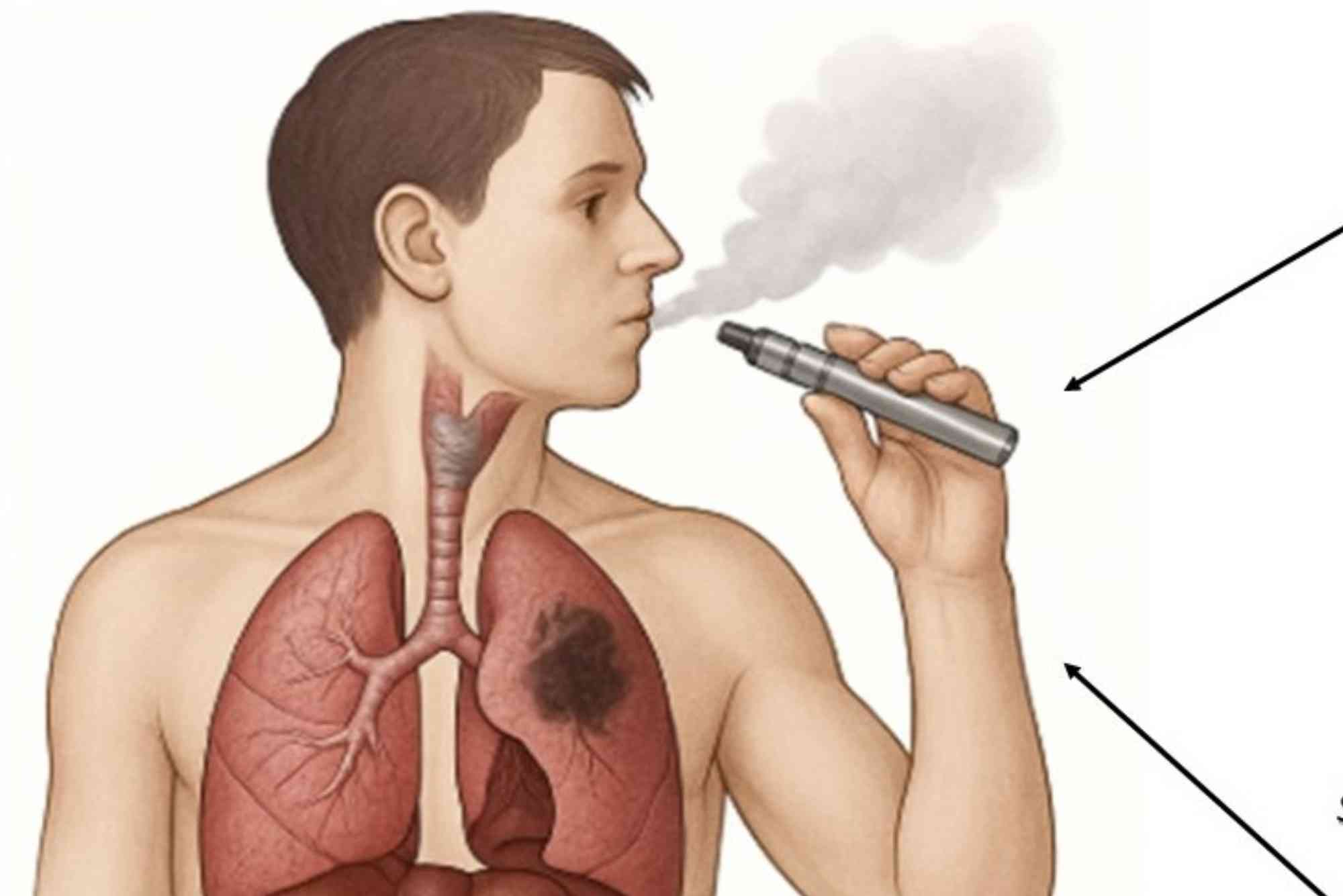 Vaping Science Explained