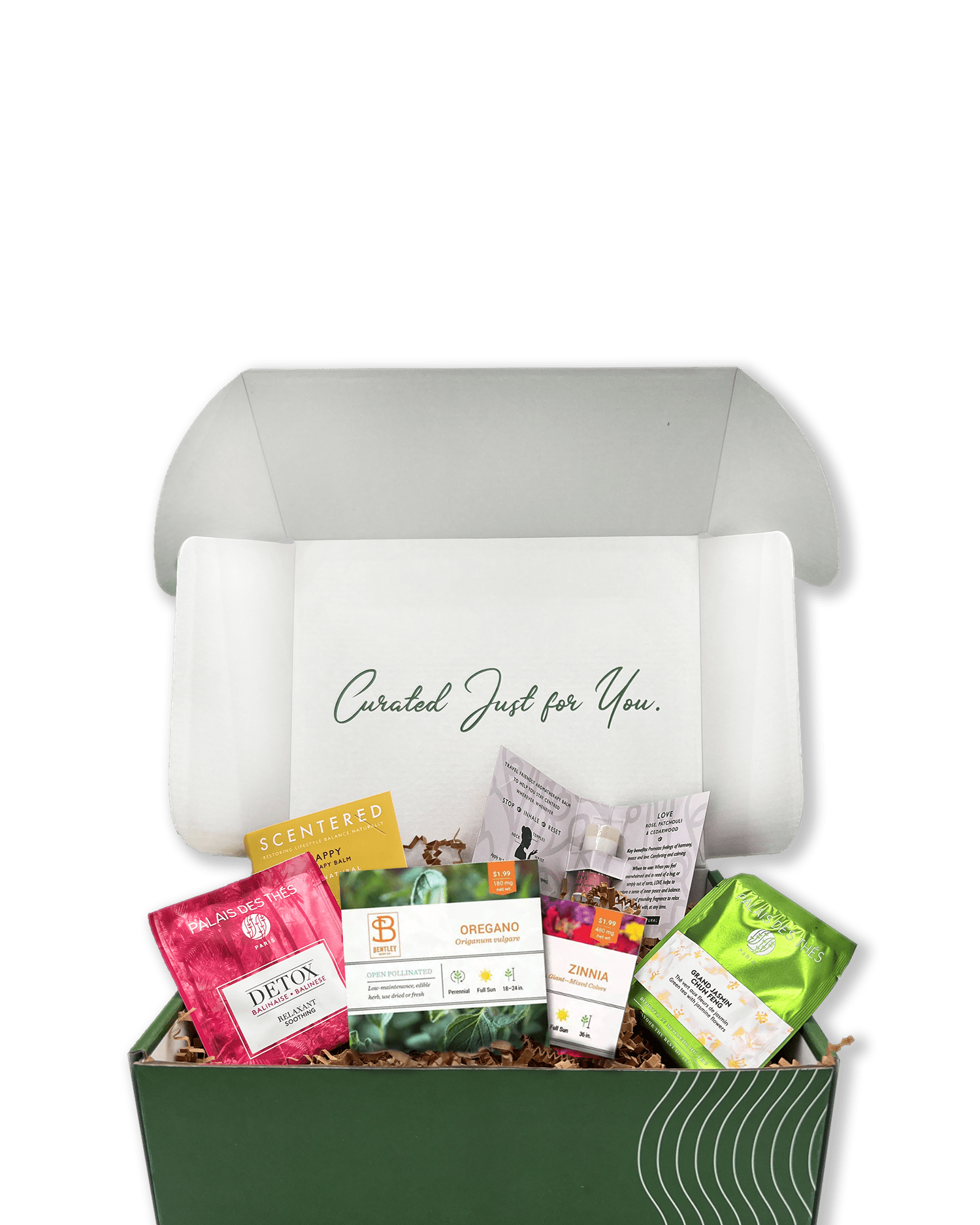 SPRINGINTOSPRING_box Wellspring, Employee Engagement Specialist