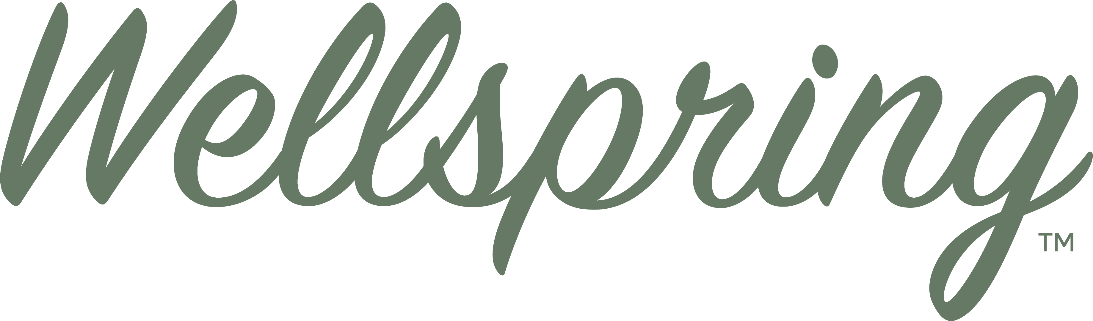 Wellspring_Logo_Green Wellspring, Employee Engagement Specialist