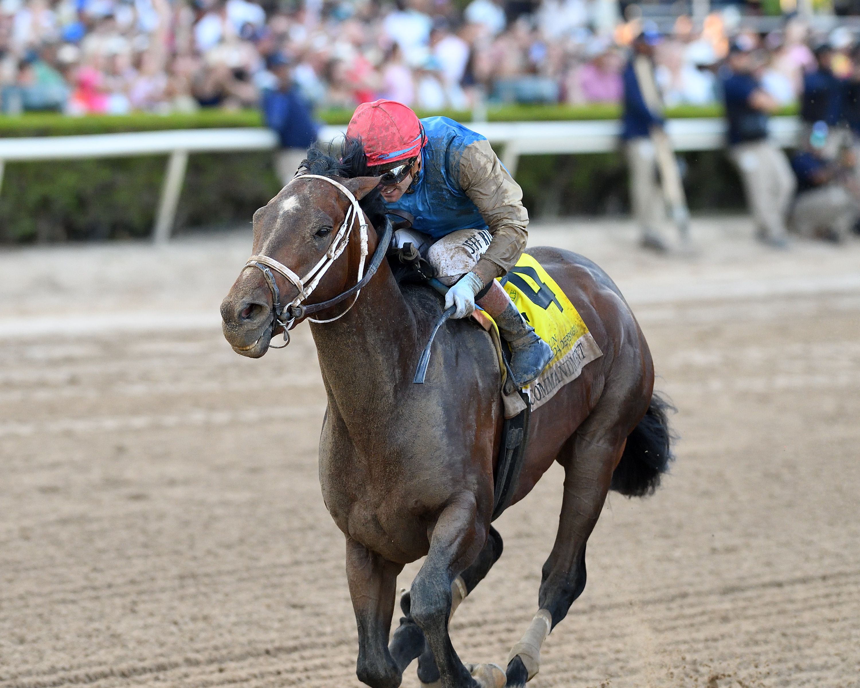 LIVE Florida Derby 2026 Picks Odds Post Time Entries TwinSpires Commandment Florida Derby 2026 AC Gulfstream Park 87cfdd25c8 