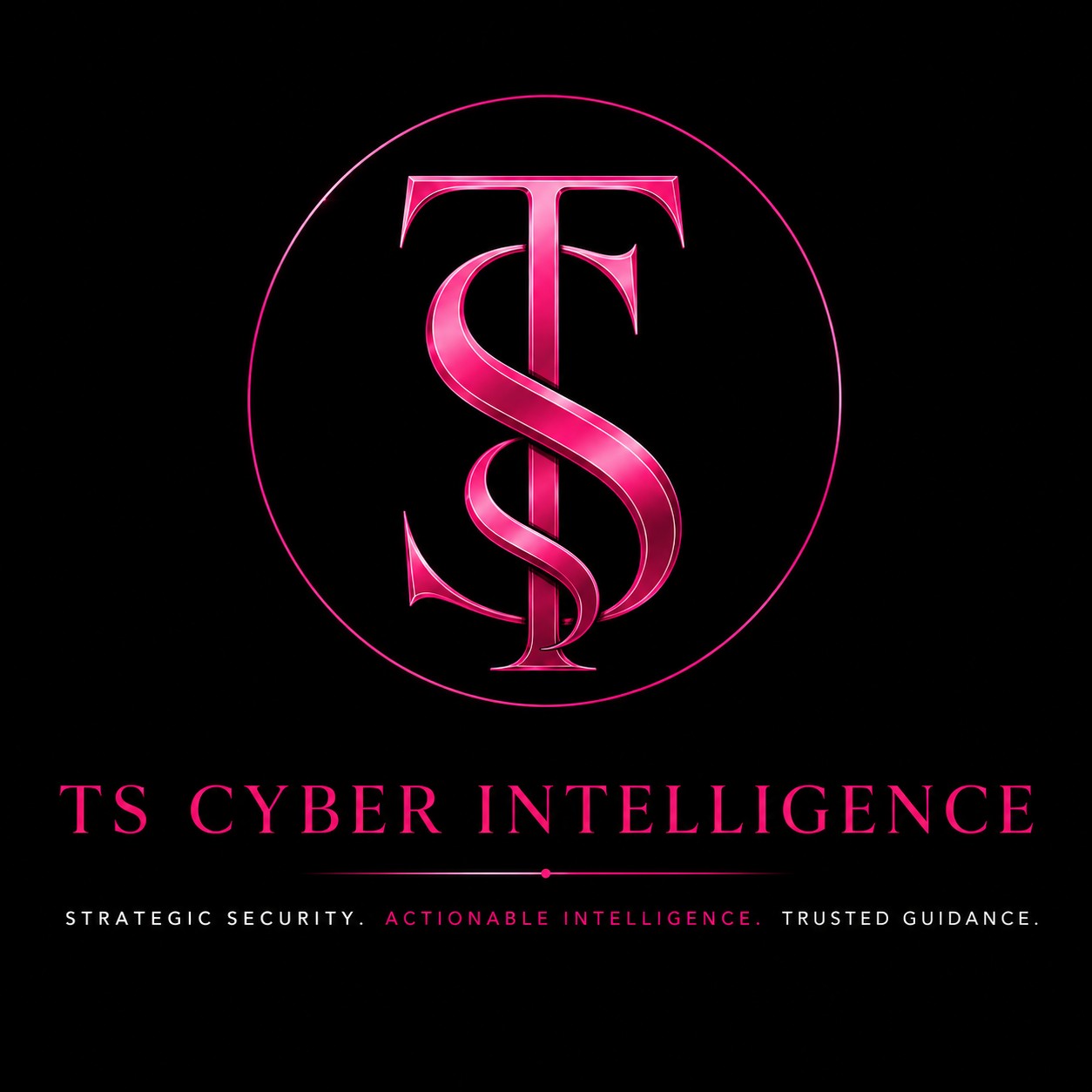 TS CYBER INTELLIGENCE