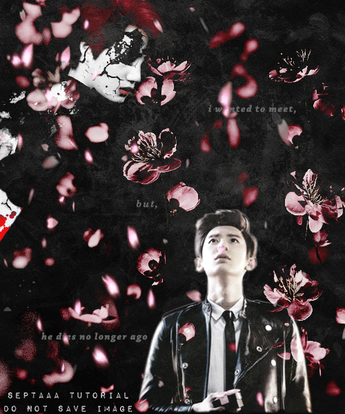 Gambar animasi bergerak bunga sakura gugur hd paling baru. 101 Gambar Bunga Sakura Bergerak Gif Hd Gambar Pixabay