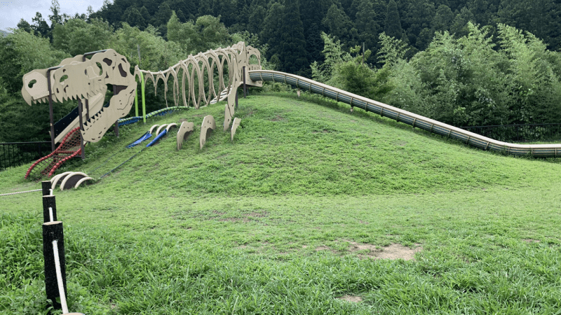 20230906兵庫県丹波市_丹波竜の里公園_滑り台
