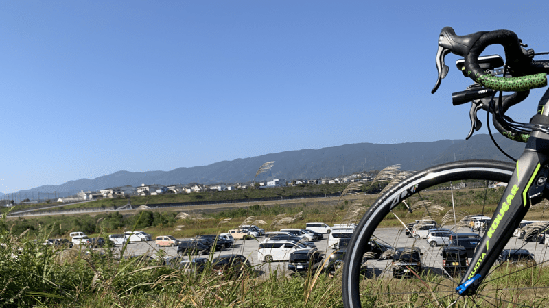 20231103京奈和自転車道_紀ノ川の南馬場緑地広場