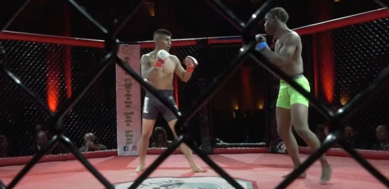 Danny Ramirez Tiger Schulmann S - Download Ultra HD Geometric Picture | Mobile