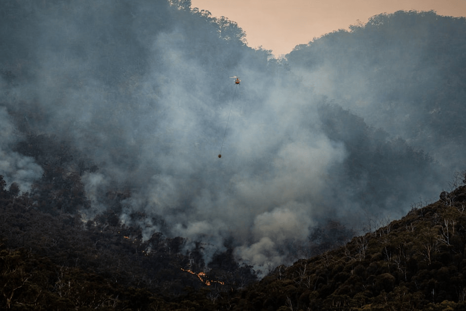 Wildfire Prevention in Comox Valley