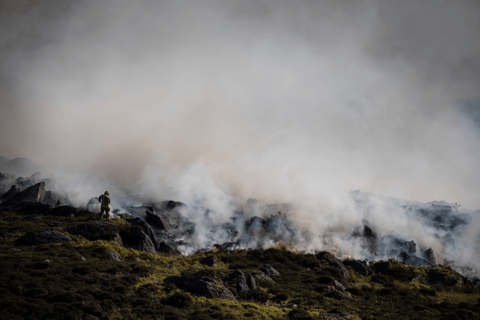 Effective Land Management Strategies