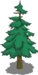 forest tree
