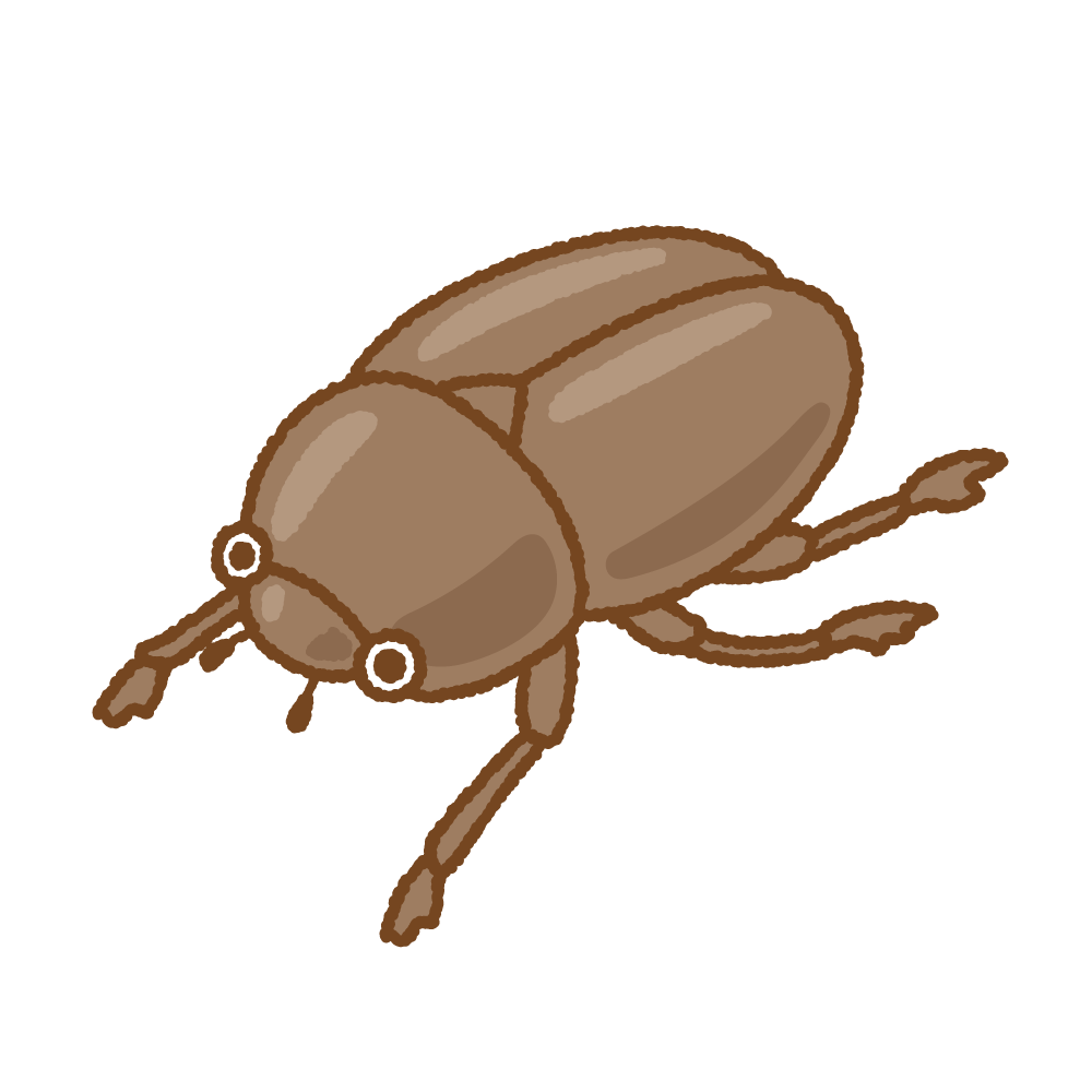 カブトムシイラスト 無料