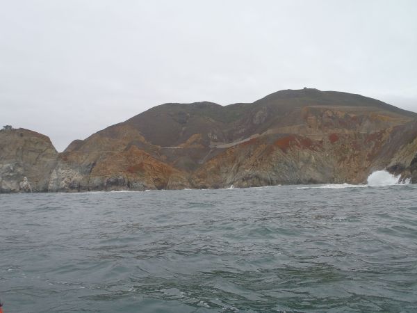 It's not pretty but it's pretty awe-inspiring. And there are sharks...