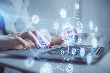 Woman using an interactive model & calculator on her laptop.