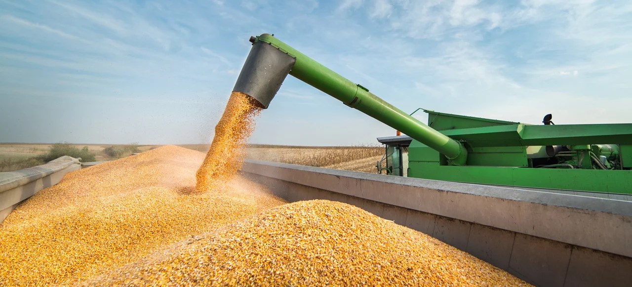 Wheat, Corn, and Grain CFDs: A Prop Trader's Overview