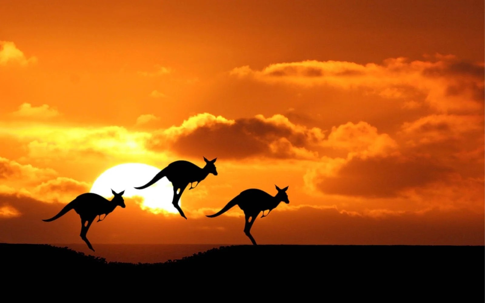 How Prop Trading Income Is Taxed in Australia