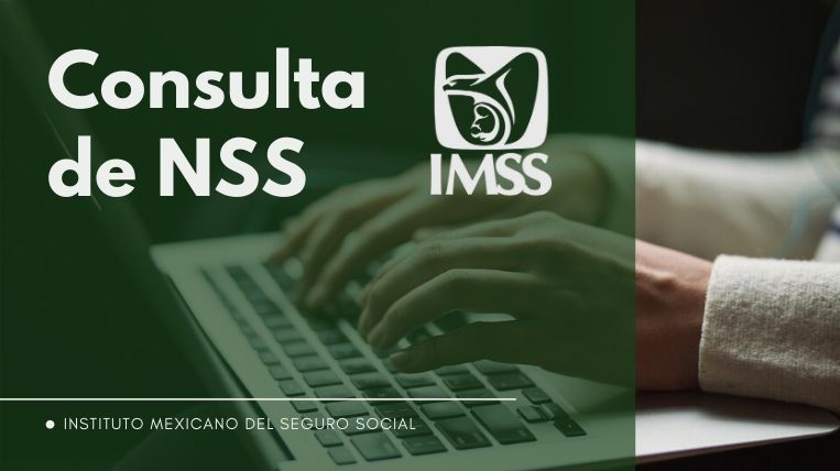Así puedes consultar tu nss online