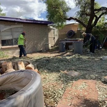 Stump grinding, tree removal, clean up,