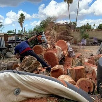 Person cutting logs into smaller pieces with a chainsaw outdoors, with chopped logs and debris around.