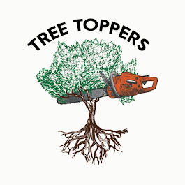 tucson tree trimming, tucson tree removal, tree service tucson az, local tree service tucson, emergency tree removal tucson, tree pruning tucson, palm tree trimming Tucson, commercial tree service tucson, residential tree service tucson
